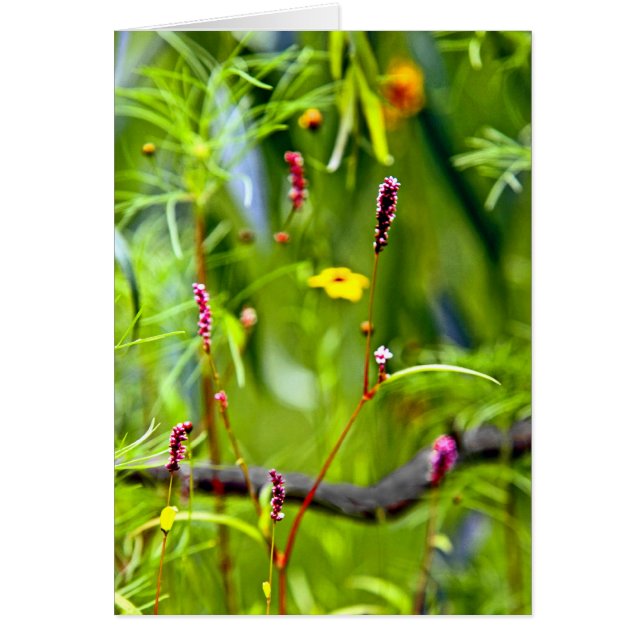 Wildblommor Hälsningskort (Framsidan)