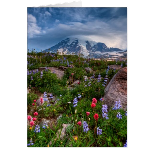 Wildblommor Hälsningskort (Framsidan)