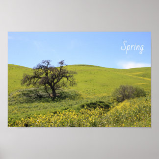 Wildblommor Hillside Photo Oak Natature Scenia Pho Poster