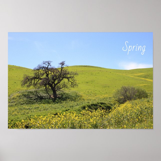 Wildblommor Hillside Photo Oak Natature Scenia Pho Poster (Framsidan)