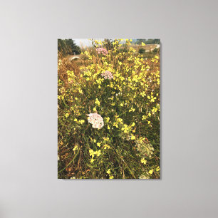 Wildblommor i Cape Blanco, Oregon Kusten Canvastryck