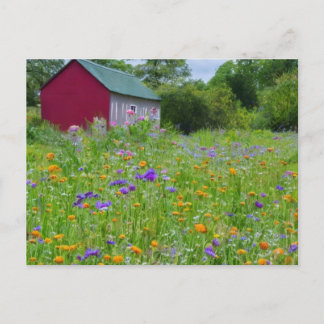 Wildblommor i Land Helg Vykort