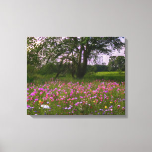Wildblommor i Land vid Dusk Canvastryck