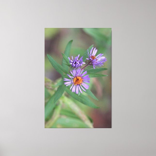 Wildblommor i Lila Canvastryck (Framsida)