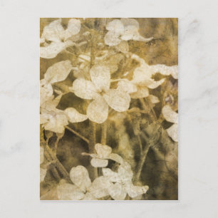 Wildblommor i Sepia Vykort