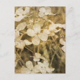 Wildblommor i Sepia Vykort