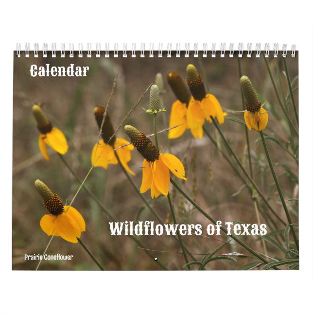 Wildblommor i Texas Calendar Kalender (Omslag)