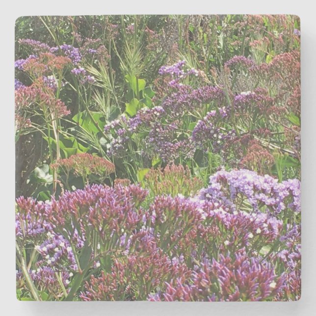 Wildblommor, La Jolla Cove, CA Stenunderlägg (Framsidan)