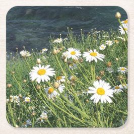 Wildblommor, La Jolla cove, CA Underlägg Papper Kvadrat