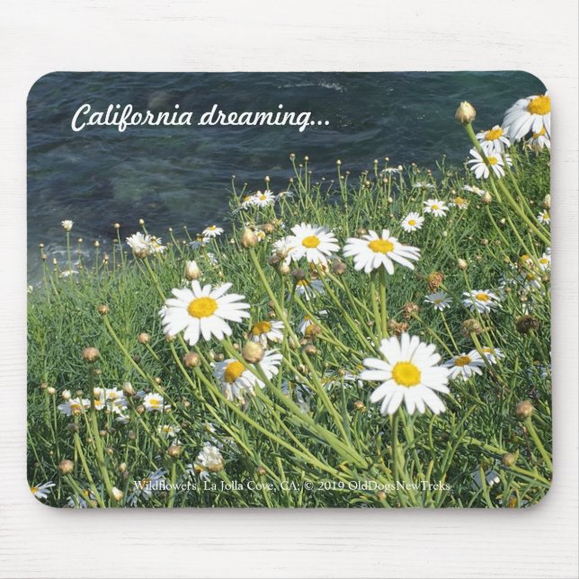 Wildblommor, La Jolla Cove, Kalifornien Musmatta (Framsidan)