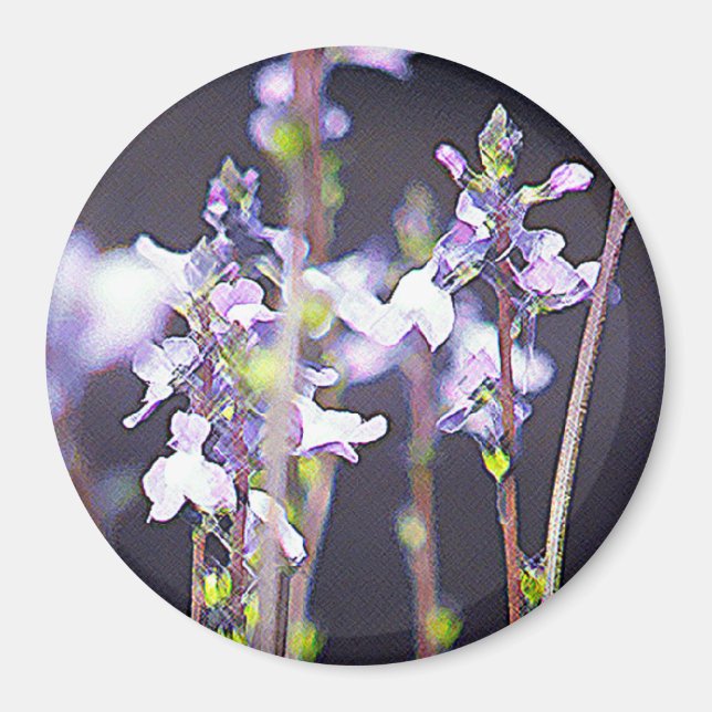 Wildblommor Magnet (Framsidan)