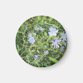 Wildblommor Magnet