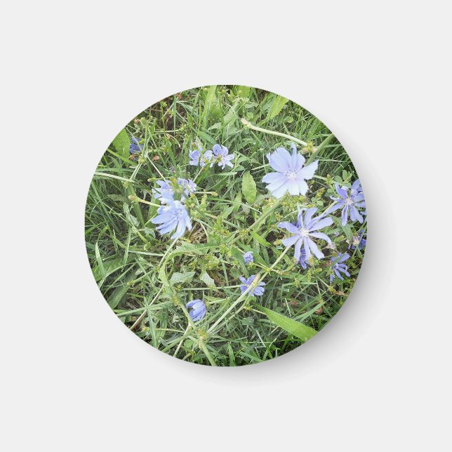 Wildblommor Magnet (Framsidan)