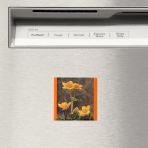 Wildblommor: Marsh Marigold Magnet