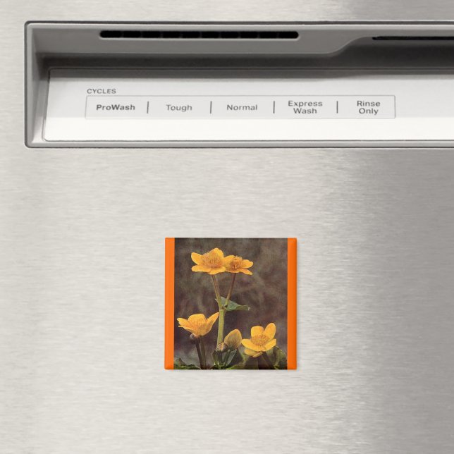 Wildblommor: Marsh Marigold Magnet (In Situ (Dishwasher))
