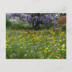 Wildblommor med stuga på landsbygden helg vykort