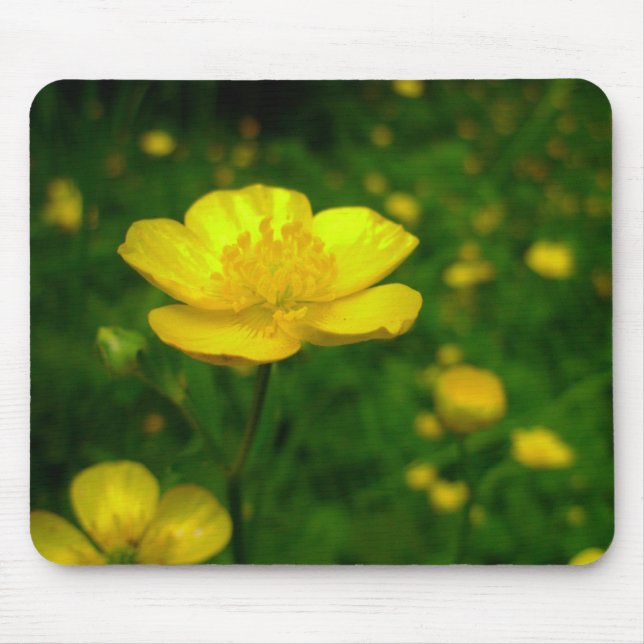 Wildblommor Mousepad Butterkoppar Computer Gifts Musmatta (Framsidan)