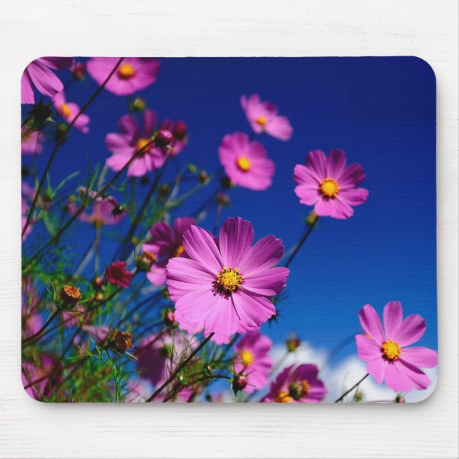 Wildblommor Musmatta (Framsidan)