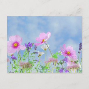 Wildblommor, naturens skönhet vykort