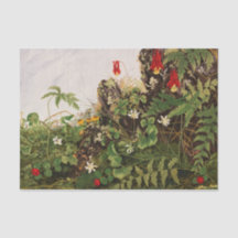 Wildblommor nr 1 av Ellen Robbins