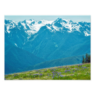 Wildblommor och berg fototryck