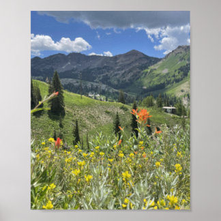 Wildblommor och berg i Utah Poster