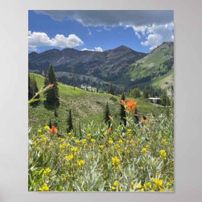 Wildblommor och berg i Utah Poster (Framsidan)