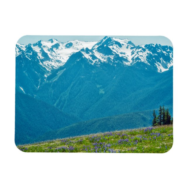 Wildblommor och berg magnet (Horisontell)