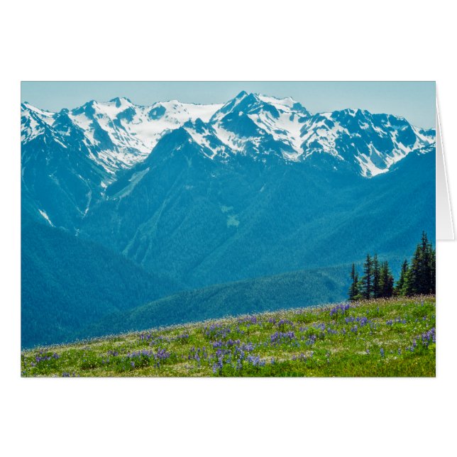 Wildblommor och berg OBS kort (Framsidan Horizontal)