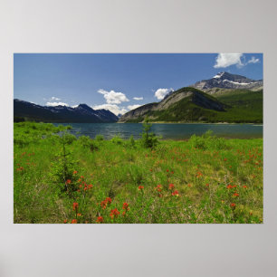 Wildblommor och berg poster