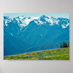Wildblommor och berg poster