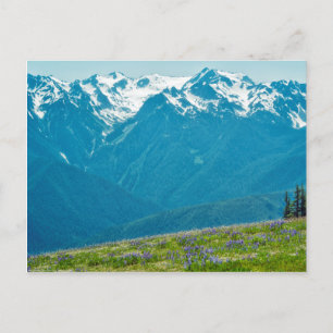Wildblommor och berg vykort