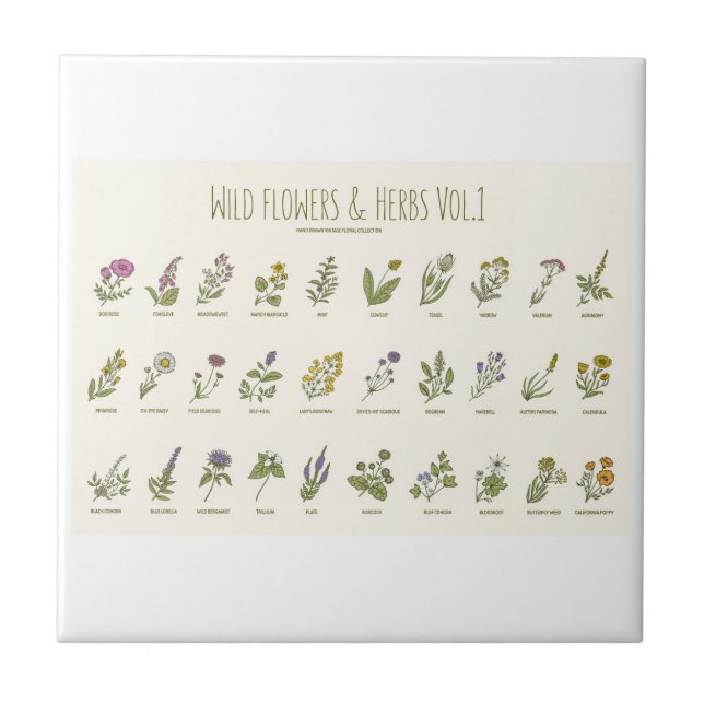 Wildblommor och Örter Kakelplatta (Framsidan)