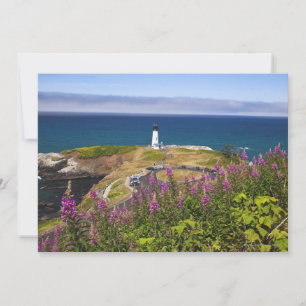 Wildblommor och Yaquina