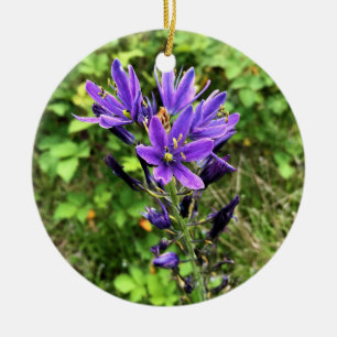 Wildblommor på järnvägen, Oregon Julgransprydnad Keramik