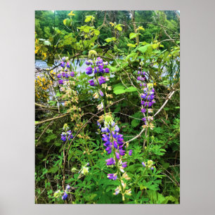 Wildblommor på järnvägen, Oregon Poster