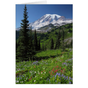 Wildblommor på Mount Rainier Hälsningskort
