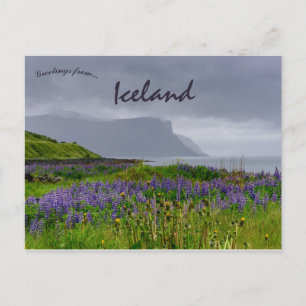 Wildblommor på Shoreline of Thingeyri Island Vykort