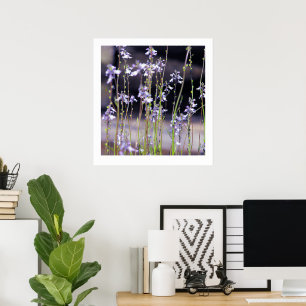 Wildblommor Poster