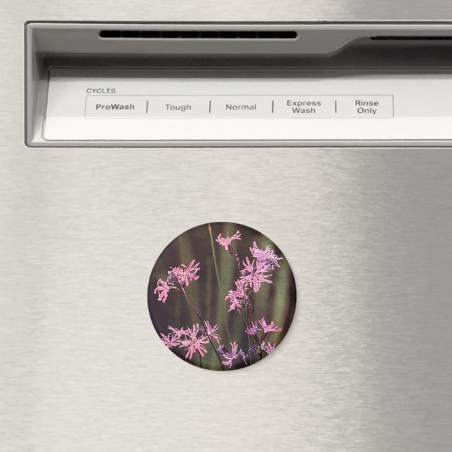 Wildblommor: Ragged Robin Magnet (In Situ (Dishwasher))