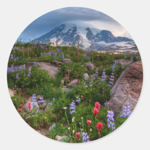Wildblommor Runt Klistermärke