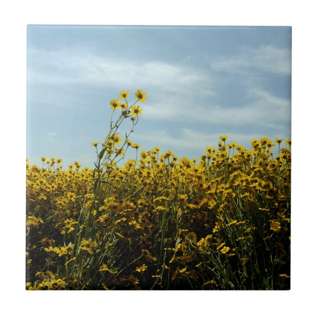 Wildblommor Sunblommor Kakelplatta (Framsidan)
