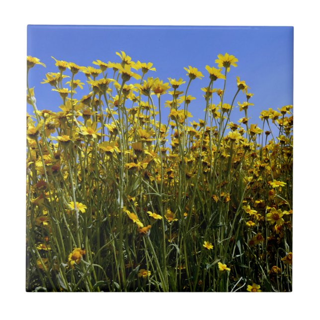 Wildblommor Sunblommor Kakelplatta (Framsidan)