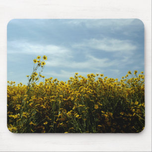 Wildblommor Sunblommor Musmatta