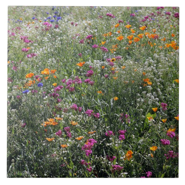 Wildblommor Tile Large 6 tum x 6 tum Kakelplatta (Framsidan)