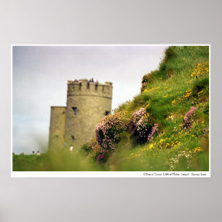 Wildblommor vid Cliffs of Moher, Irland Poster