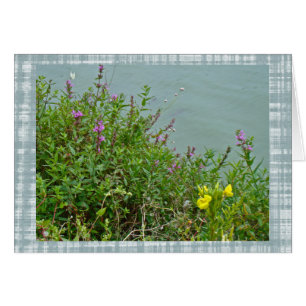 Wildblommor vid Grönt Lane Reservoir Hälsningskort