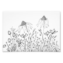 Wildblommteckning