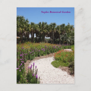 WildblomNeapel Botanical Garden Florida Vykort