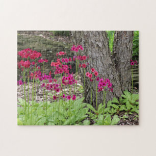 Wildbloms Rosa Primrose Photograph Pussel